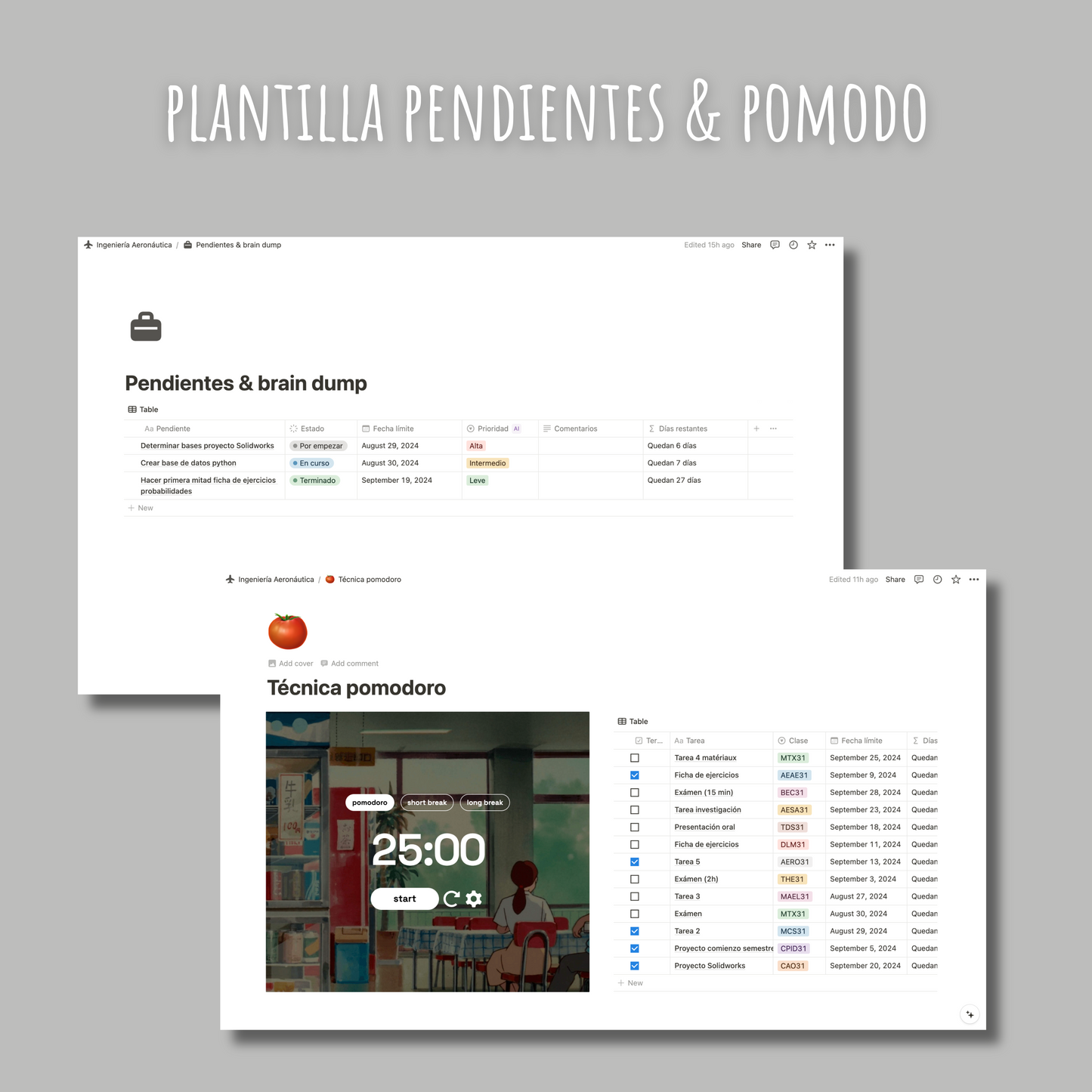 University Hub - Plantilla Notion