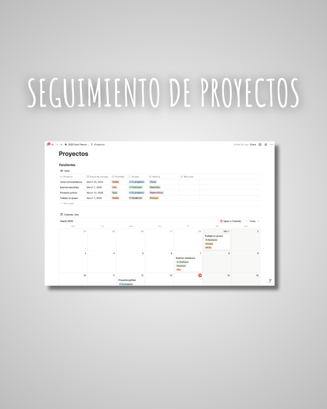 2025 Goal Planner - Método Renacimiento